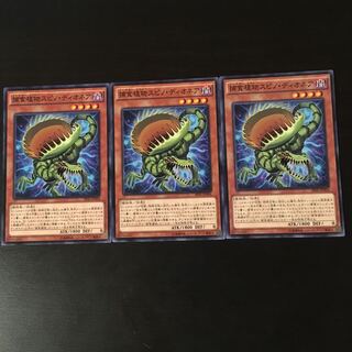 Prey Upon plant Spino Dionaea 3 sheets