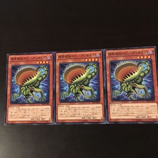 Prey Upon plant Spino Dionaea 3 sheets