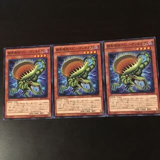 Prey Upon plant Spino Dionaea 3 sheets