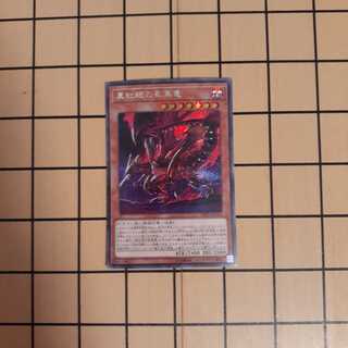 真紅眼の亜黒竜シク