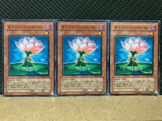 【ぽぽたん】遊戯王 1781 サクリファイス・ロータス 3枚 ノーマル