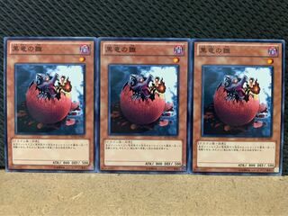 【ぽぽたん】遊戯王 5005 黒竜の雛 3枚 ノーマル