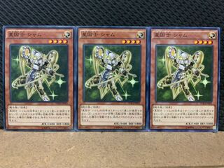 【ぽぽたん】遊戯王 6491 星因士 シャム 3枚 ノーマル