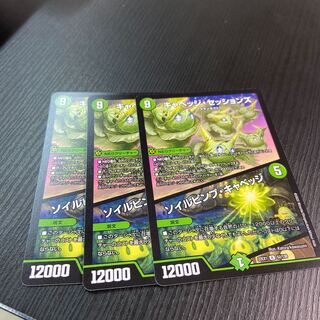 キャベッジ・セッションズ｜ソイルピンプ・キャベッジ R 3枚