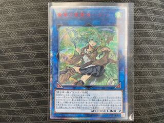 （けんたさん専用）蒼翠の風霊使いウィン　20thシク（管理No.0020）