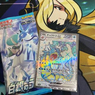 ギャラドスex SR 091/078 おまけつき