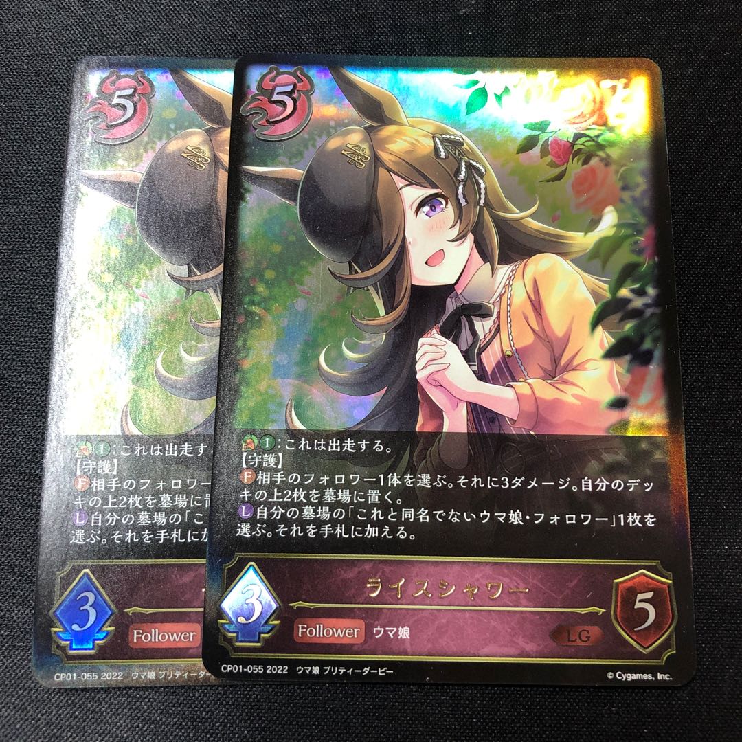 Rice Shower cp01-055 2 sheets