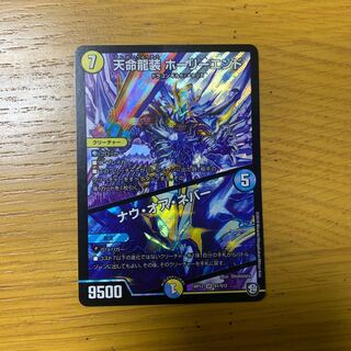 天命龍装ホーリーエンド