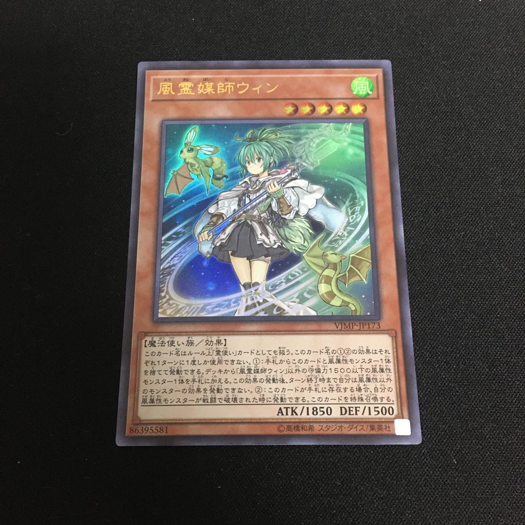 風霊媒師ウィン