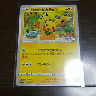 救助隊DXのピカチュウ」の激安通販 | magi