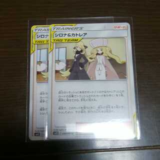 シロナ＆カトレア 二枚セット