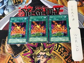 燃えさかる大地 2期ver 2 ノーマル 3枚セット てら