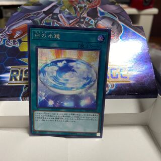 白の水鏡　シク