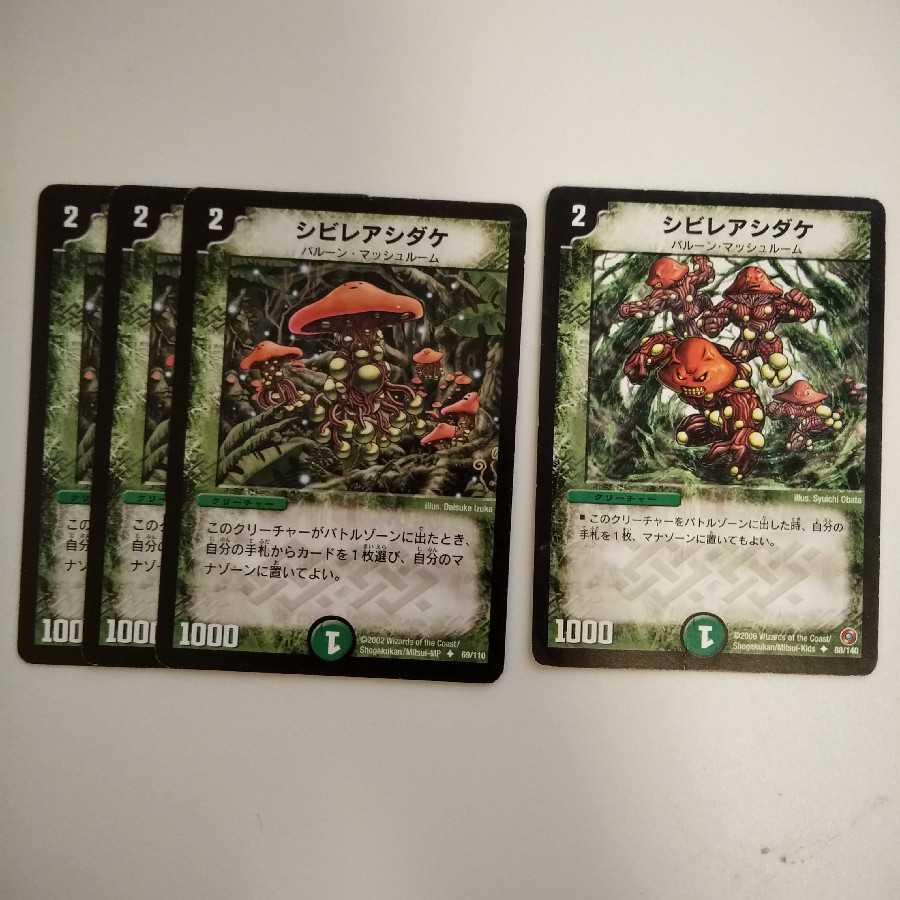 シビレアシダケ 4枚