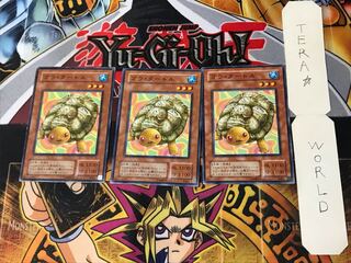 Gora Turtle 2nd period ver 2 Normal, set of 3 Tera