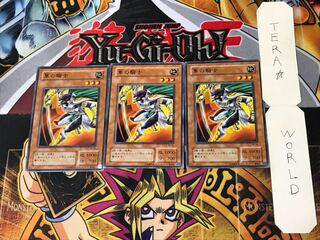 隼の騎士 2期ver 1 ノーマル 3枚セット てら