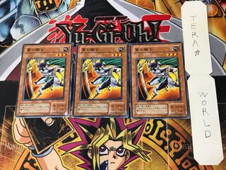 隼の騎士 2期ver 2 ノーマル 3枚セット てら