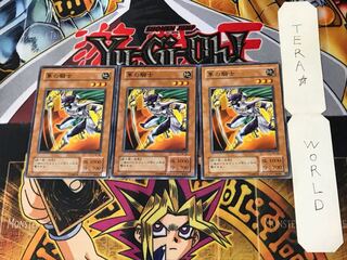 隼の騎士 2期ver 3 ノーマル 3枚セット てら