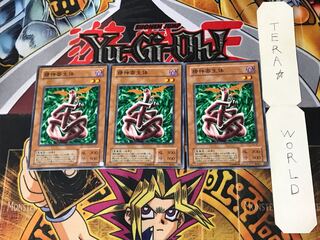 精神寄生体 2期ver 3 ノーマル 3枚セット てら