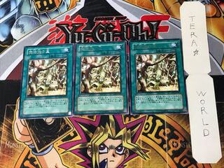 魔法族の里 レア」の激安通販 | magi