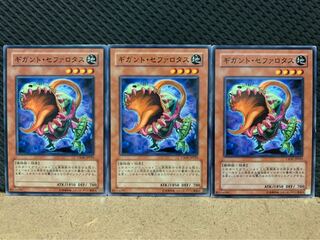 【ぽぽたん】遊戯王 5277 ギガント・セファロタス 3枚 ノーマル