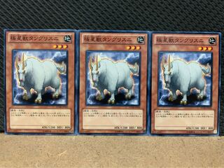 【ぽぽたん】遊戯王 689 極星獣タングリスニ 3枚 ノーマル