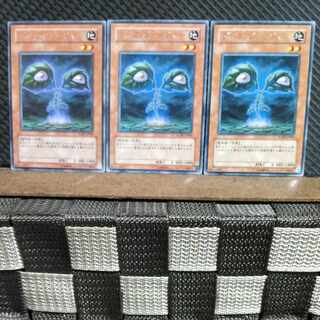 【ぽぽたん】遊戯王 #1409  ダーク・ヴァージャー  字レア  3枚