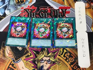 Gishki Photomirror 1 Duel Terminal, set of 3 Tera.