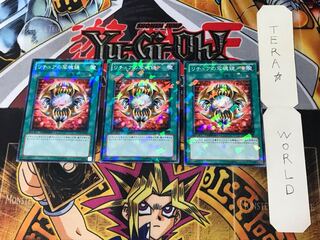 Gishki Photomirror 4 Duel Terminal, set of 3 Tera.