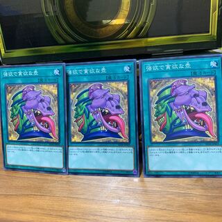 強欲で貪欲な壺