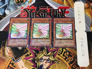 ナチュル・バタフライ 5 デュエルターミナル 3枚セット てら