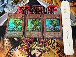 ナチュル・ホワイトオーク 1 デュエルターミナル 3枚セット てら