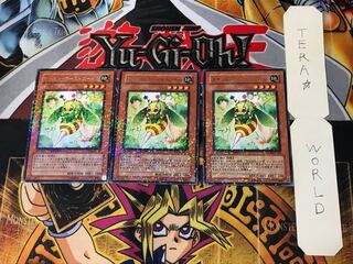 Naturia Horneedle 2 Duel Terminal, set of 3, Tera.