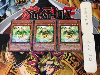 Naturia Horneedle 3 Dueling Terminals, set of 3, Tera.