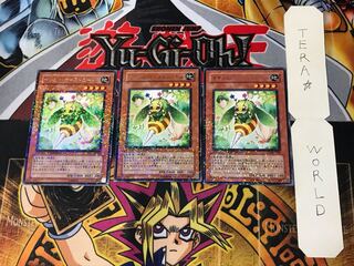 Naturia Horneedle 5 Duel Terminal, set of 3, Tera.