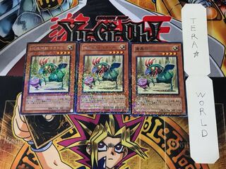 魔轟神獣コカトル 2 デュエルターミナル 3枚セット てら