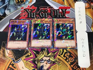 野獣戦士ピューマン 3 デュエルターミナル 3枚セット てら