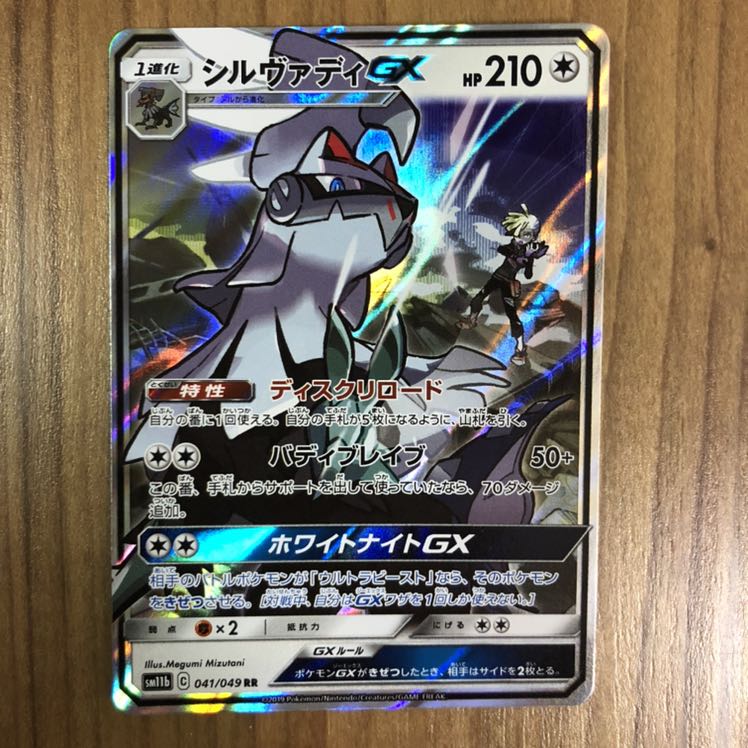 専用出品 やみのいし シルヴァディGX