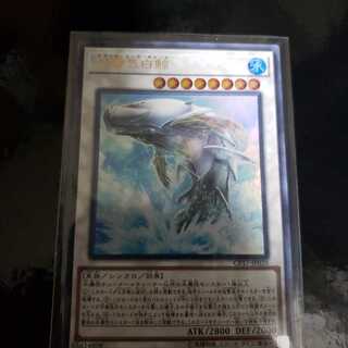 白闘気白鯨 UR
