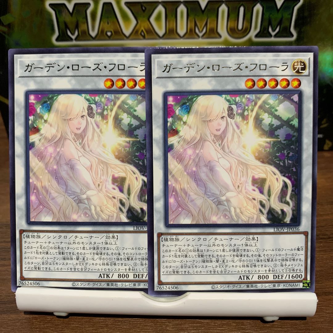 六花精ヘレボラス、ガーデン・ローズ・フローラ