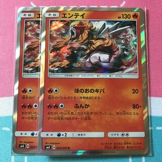 エンテイ 2枚セット