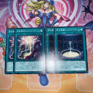 白き宿命、黒き覚醒のエルドリクシルセット