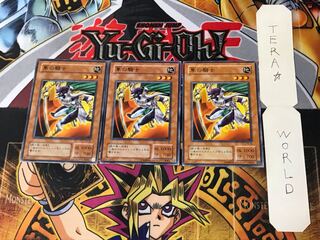 隼の騎士 TB 2期ver 3 ノーマル 3枚セット てら