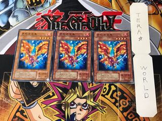 不死之炎鳥 MA 2期ver 1 ノーマル 3枚セット てら