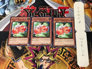 Naturia Cherries STBL 3 Rare Set of 3 Tera