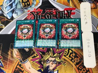 Gishki Photomirror DTC2 1 Duel Terminal, set of 3 Tera.