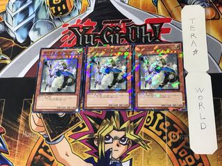 トピモ 様 専用 1枚