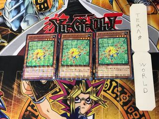 ナチュル・スパイダーファング DTC2 1 デュエルターミナル 3枚セット てら