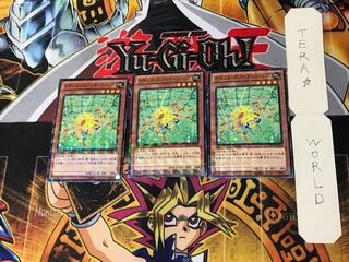 ナチュル・スパイダーファング DTC2 2 デュエルターミナル 3枚セット てら