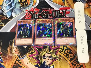 野獣戦士ピューマン DT14 3 デュエルターミナル 3枚セット てら